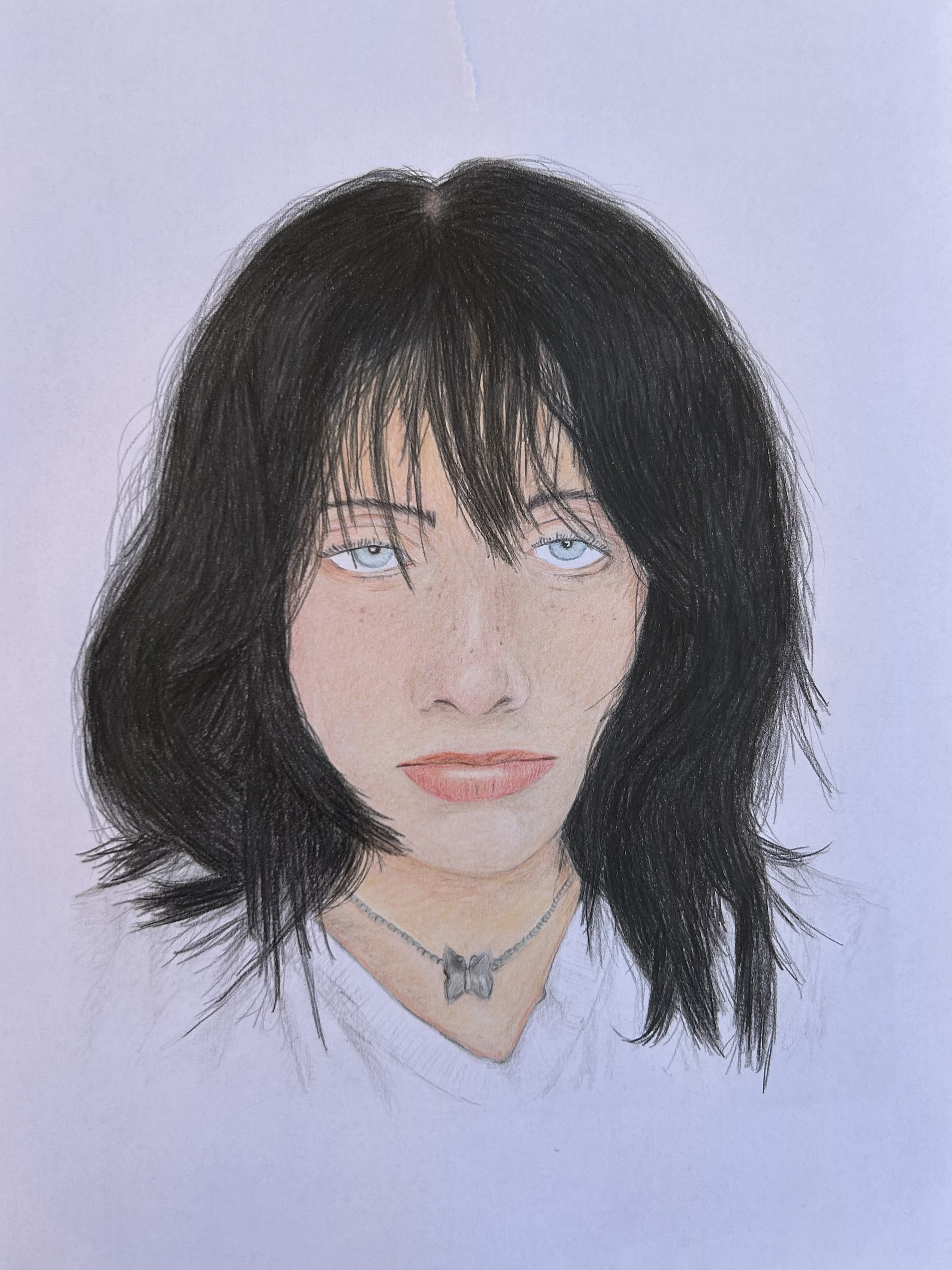 Belgiumillie drawing