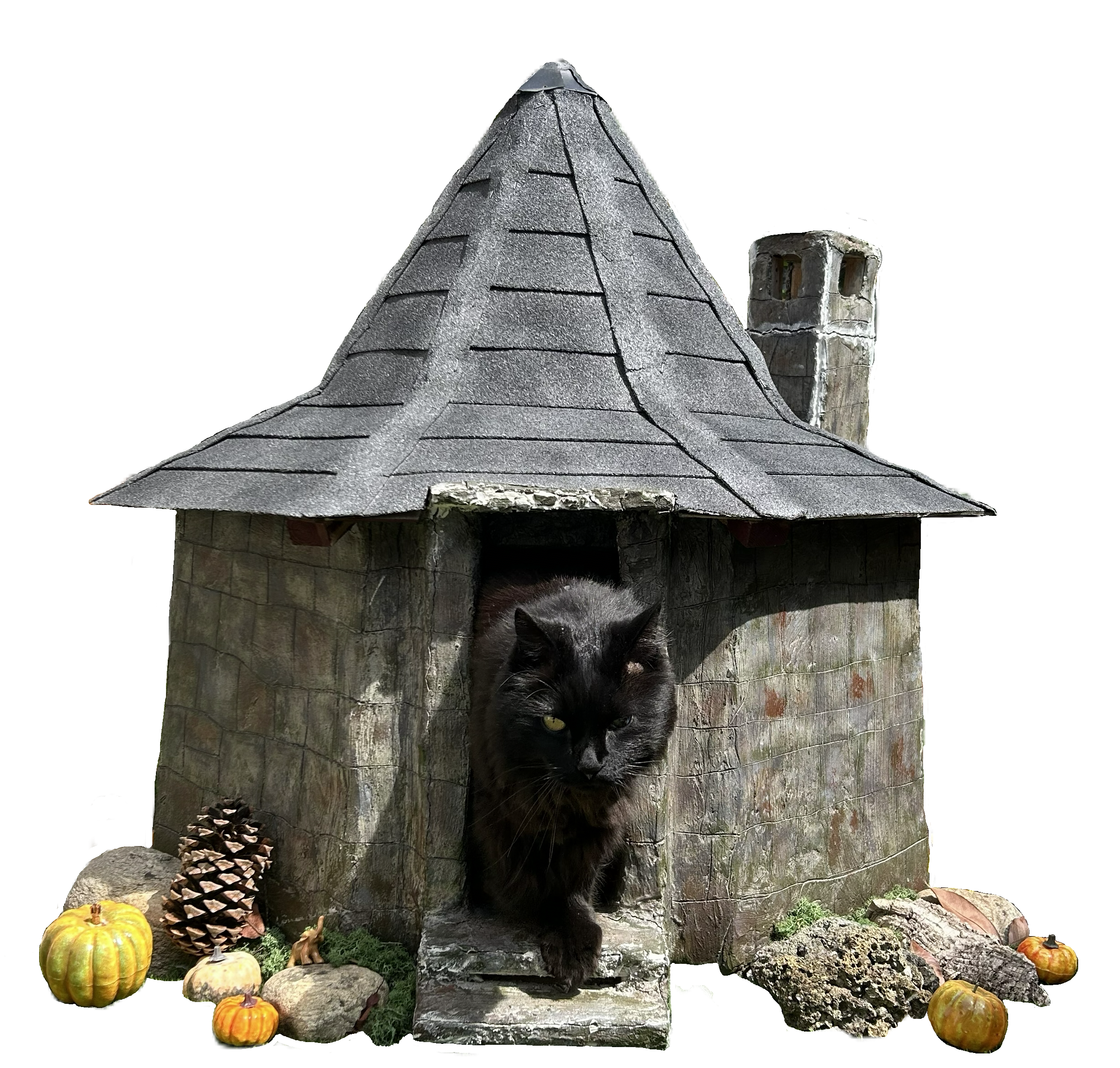 Hagrid’s Hut cat sized replica
